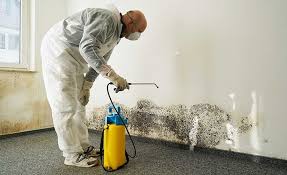 Best Emergency Mold Remediation  in East Newark, NJ