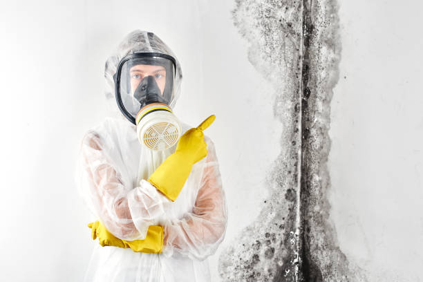 Asbestos and Lead Testing During Mold Inspection in East Newark, NJ