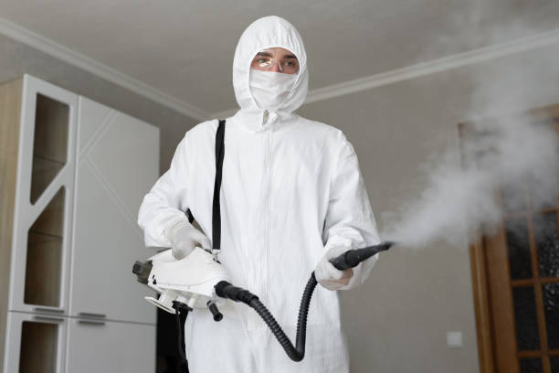 Best Asbestos and Lead Testing During Mold Inspection  in East Newark, NJ